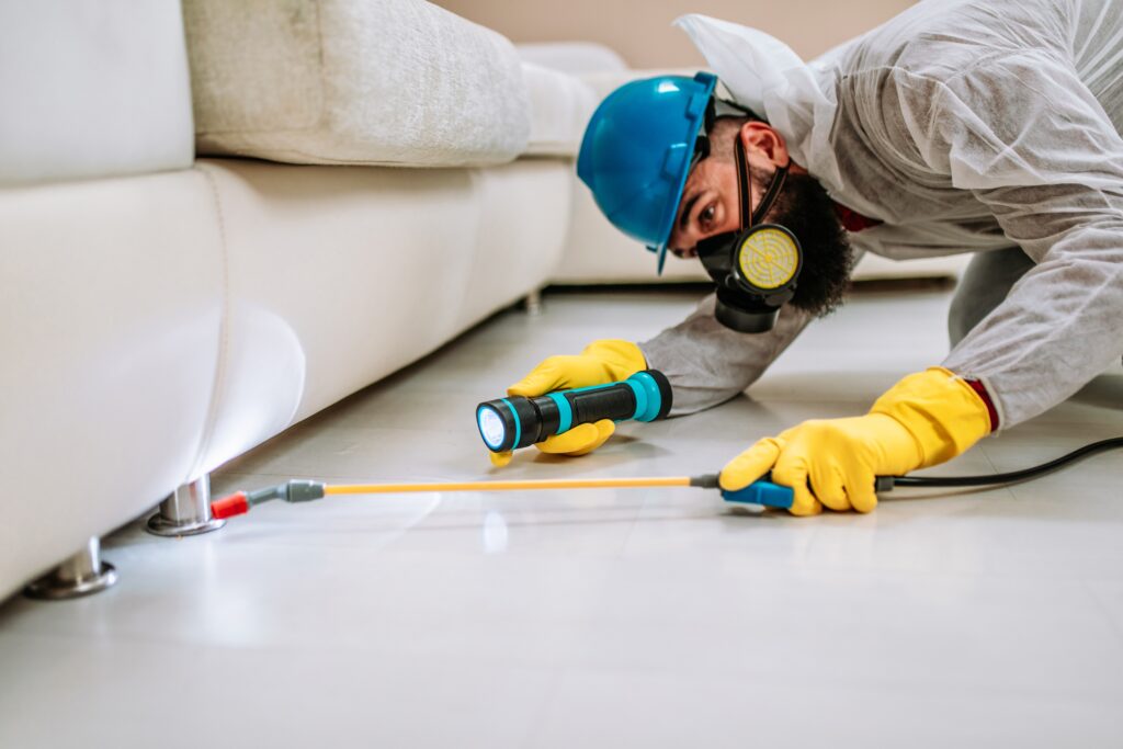 Culver City Termite Control