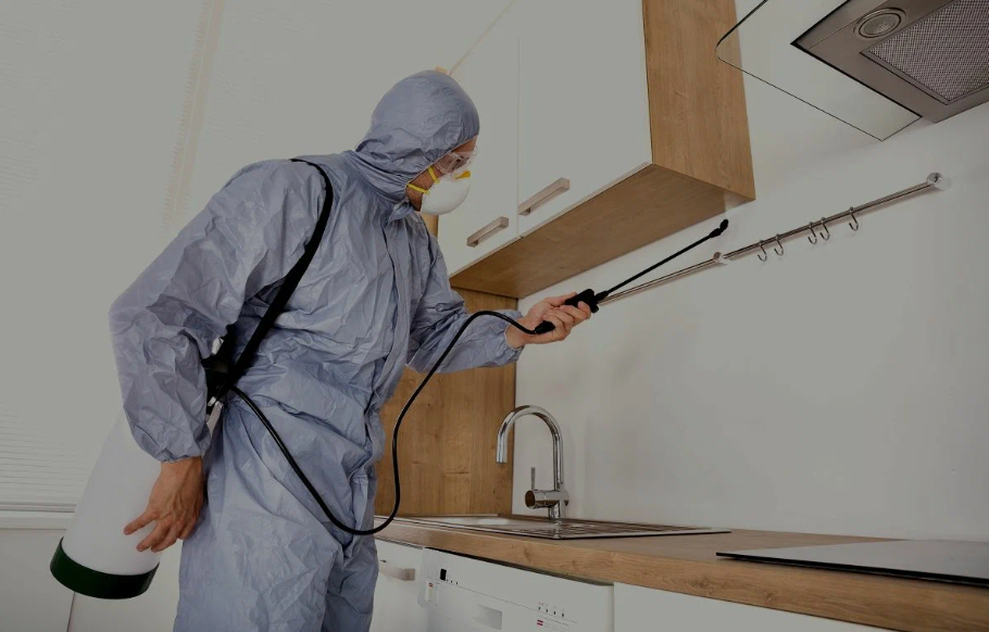 Culver City pest managment